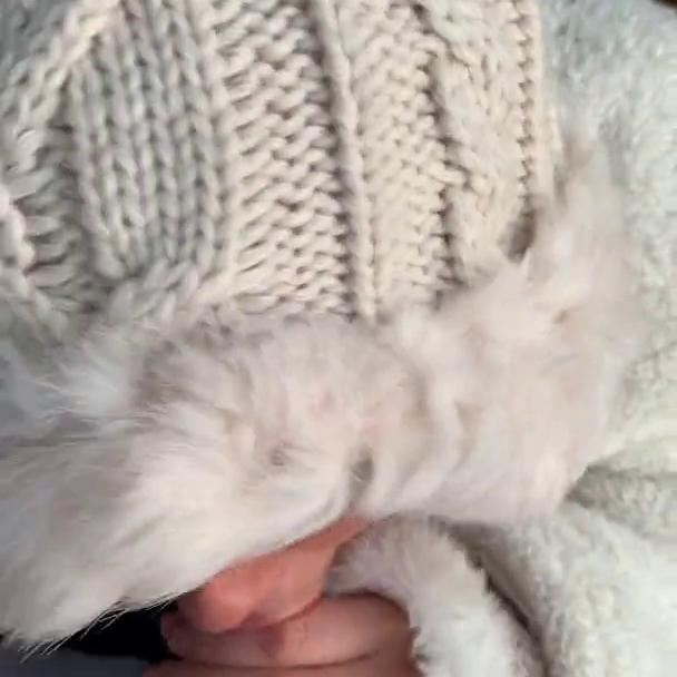 Pixei Winter Blowjob Cumshot Video Leaked