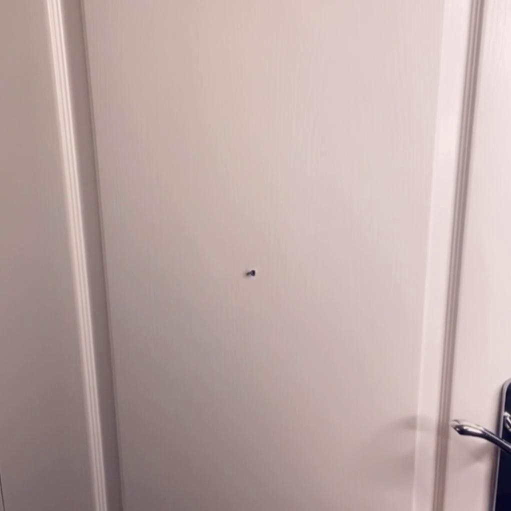 Belle Delphine Nude Pizza Delivery Onlyfans Video Leaked